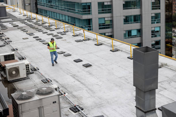 Best Roof Maintenance and Cleaning  in Mulino, OR