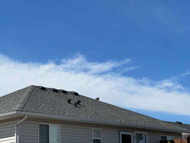 Best Skylight Installation and Repair  in Mulino, OR
